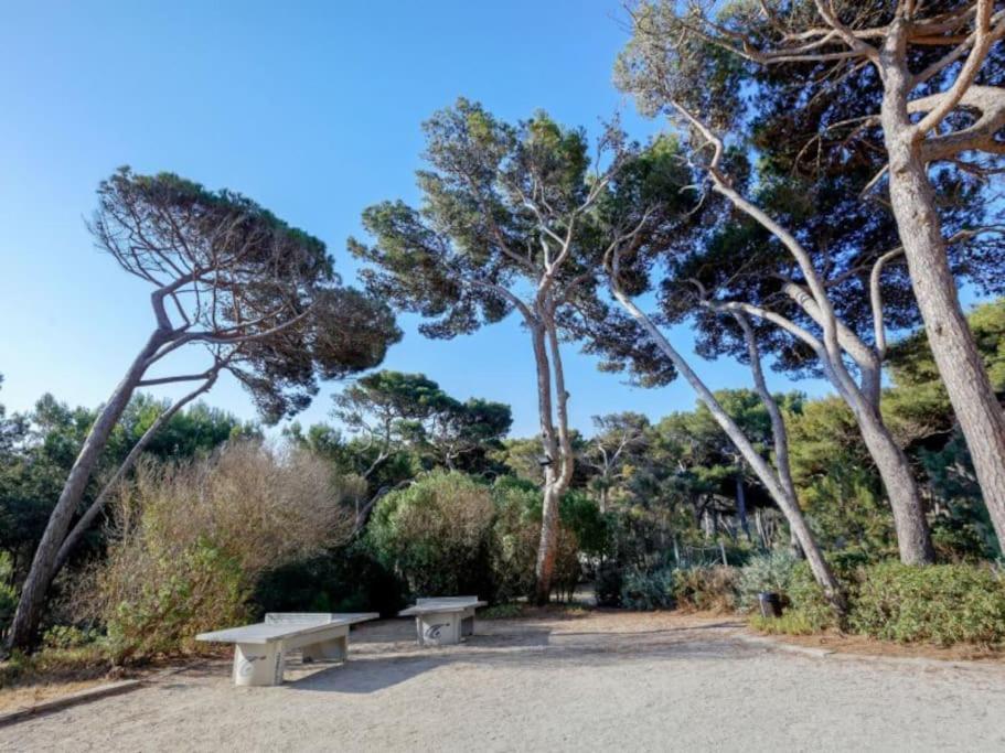 Superbe Appartement 50M De La Plage En Bord De Mer Hyères Eksteriør bilde