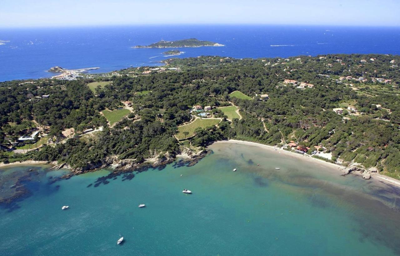 Superbe Appartement 50M De La Plage En Bord De Mer Hyères Eksteriør bilde